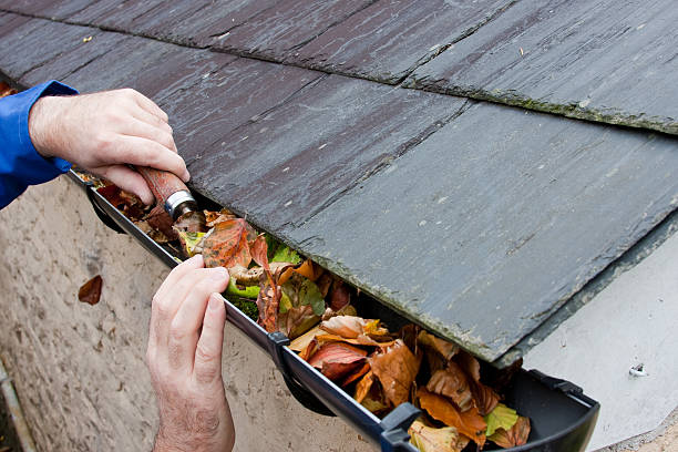 Professional Gutter Cleaning Services for Your Home or Business